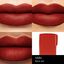 Powermatte Lip Pigment , Vain
