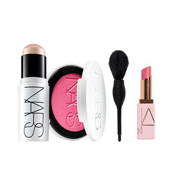 Light Reflecting Luminizing Bundle, 