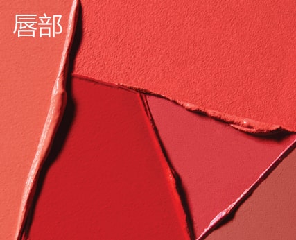 唇部